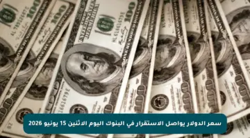 سعر الدولار يواصل الاستقرار في البنوك اليوم الاثنين 15 يونيو 2026